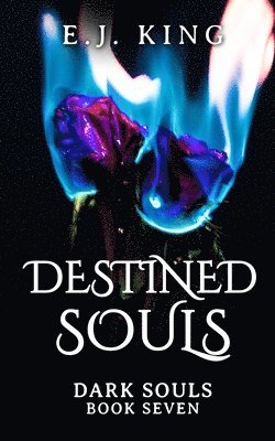 Destined Souls 1