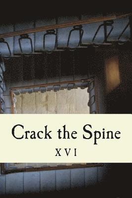 Crack the Spine, Kerri Farrell Foley - Crack the Spine XVI, Häftad