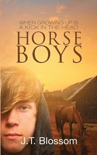 bokomslag Horse Boys