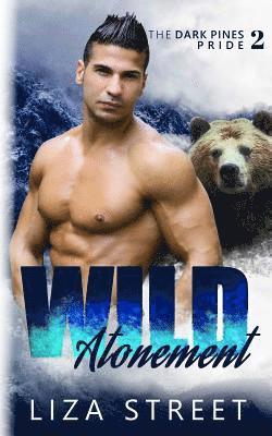 Liza Street - Wild Atonement, Häftad