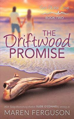 bokomslag The Driftwood Promise