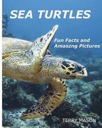 bokomslag Sea Turtles: : Fun Facts and Amazing Pictures