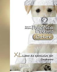 bokomslag Práctica Dibujo [Color] - XL Libro de ejercicios 10