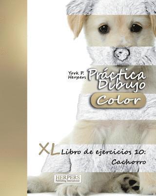 bokomslag Práctica Dibujo [Color] - XL Libro de ejercicios 10