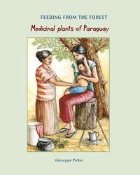 bokomslag Medicinal Plants of Paraguay