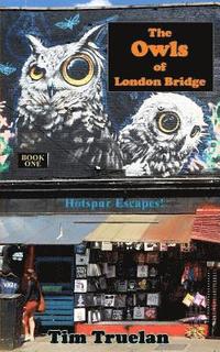 bokomslag The Owls of London Bridge