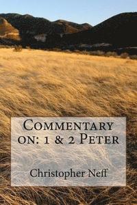 bokomslag Commentary on: 1 & 2 Peter