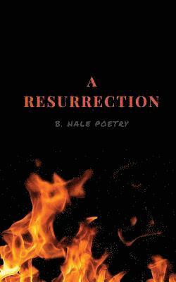 bokomslag A Resurrection: B.Hale Poetry