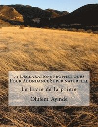 bokomslag 71 Declarations prophetiques Pour Abondance Super naturelle: Le Livre de la prière