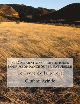 71 Declarations prophetiques Pour Abondance Super naturelle: Le Livre de la prière 1