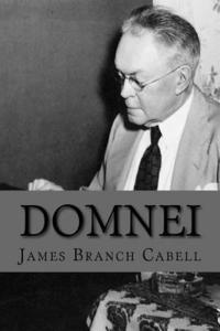 bokomslag Domnei