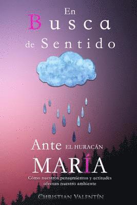 Christian Valentin - En Busca de Sentido Ante El Huracan Maria: Como Nuestros Pensamientos Y Actitudes Afectan Nuestro Ambiente, Häftad