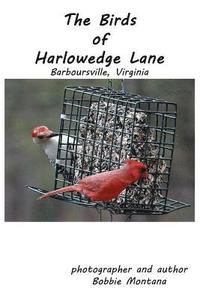 bokomslag The Birds of Harlowedge Lane: Barboursville, Virginia