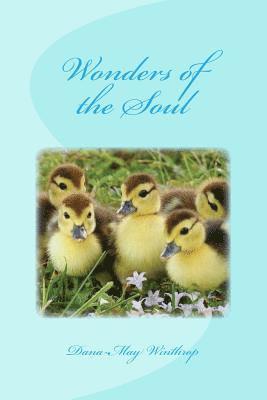 Wonders of the Soul 1