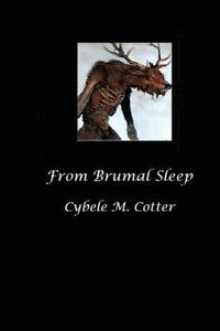 bokomslag From Brumal Sleep -- 2nd Edition