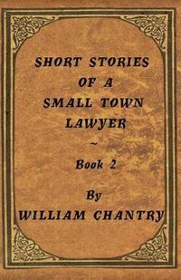 bokomslag Short Stories of a Small Town Lawyer, Book 2