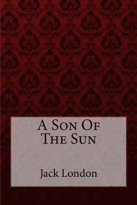 bokomslag A Son Of The Sun