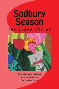 bokomslag Sodbury Season: The Glass Cherub