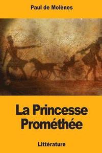 bokomslag La Princesse Prométhée