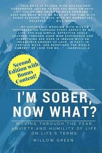 bokomslag I'm Sober, Now What?: Moving Through the Fear, Anxiety and Humility of Life on Life's Terms.
