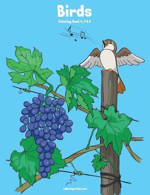 bokomslag Birds Coloring Book 4, 5 & 6