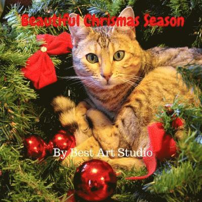 Best Art Studio - Beautiful Christmas Season, Häftad
