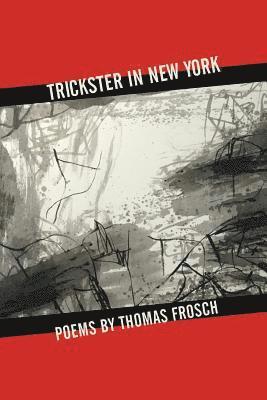 bokomslag Trickster in New York: Poems by Thomas Frosch