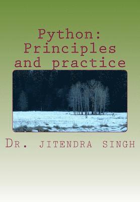 bokomslag Python: Principles and practice