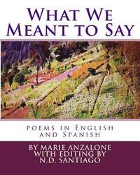 bokomslag What We Meant to Say: poems in English and Spanish