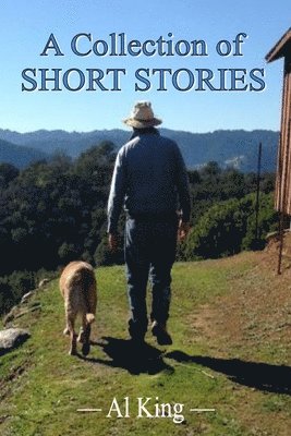 Al King - A Collection of Short Stories, Häftad. Tillgänglighet: Lägg i varukorg