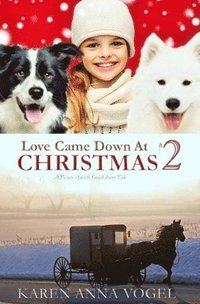 bokomslag Love Came Down At Christmas 2: A Fancy Amish Smicksburg Tale