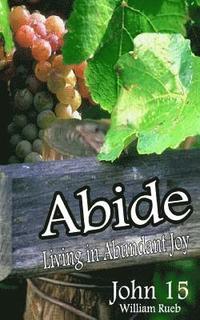 bokomslag Abide: Lessons From the Vineyard