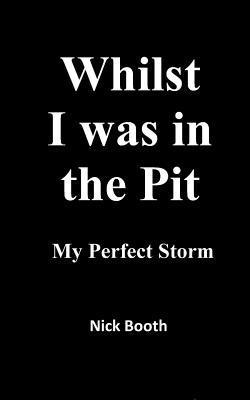 bokomslag Whilst I was in the Pit: My Perfect Storm