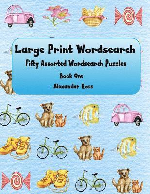 bokomslag Large Print Wordsearch