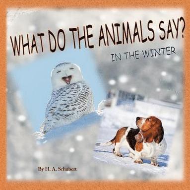 bokomslag What Do the Animals Say? In the Winter: Perfect gift for children for Christmas; children's gift for Hanukkah; birthday gift for boy, for girl; any al