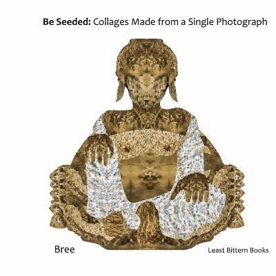 Be Seeded: Collages Made from a Single Photograph 1