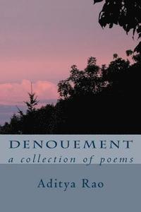 bokomslag Denouement: a collection of poems