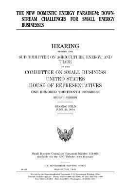 United States House of Representatives, Committee on Small Business - The new domestic energy paradigm: downstream challenges for small energy businesses, Häftad