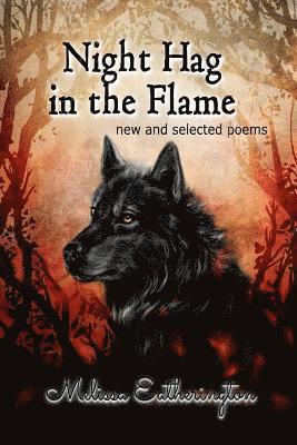 bokomslag Night Hag in the Flame: new and selected poems