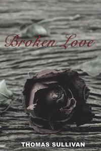bokomslag Broken Love