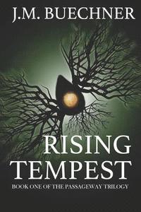 bokomslag Rising Tempest