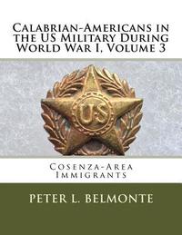 bokomslag Calabrian Americans in the US Military During World War I, Volume 3: Cosenza-Area Immigrants