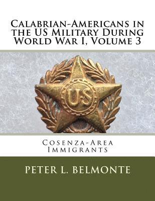 Calabrian Americans in the US Military During World War I, Volume 3: Cosenza-Area Immigrants 1