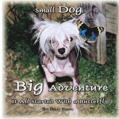 Small Dog - Big Adventure: It all started with a butterfly 1