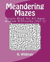 bokomslag Meandering Mazes: Puzzle Books for All Ages - Medium Difficulty
