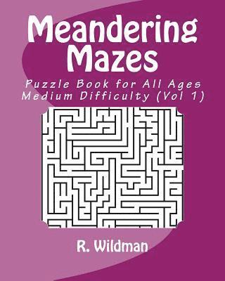bokomslag Meandering Mazes: Puzzle Books for All Ages - Medium Difficulty