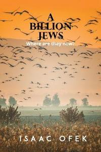 bokomslag A Billion Jews: Where are they now?