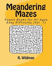 bokomslag Meandering Mazes: Puzzle Books for All Ages - Easy Difficulty