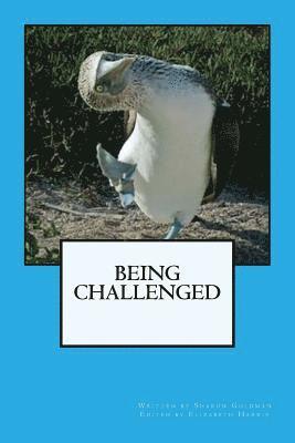 Being Challenged 1