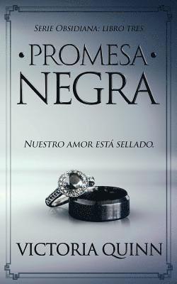 bokomslag Promesa negra